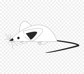 Rat, Black White M, Cartoon, Mouse, White PNG