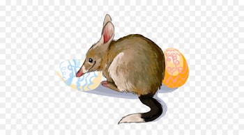 Rat, Computer Mouse, Fauna, Mammal, Vertebrate PNG