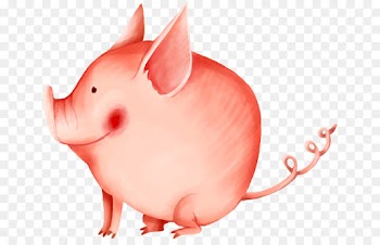 Rat, Domestic Pig, Animal, Pink PNG