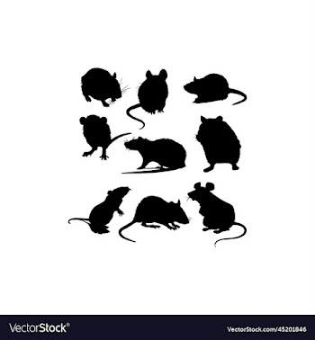 rat icon set silhouette logo