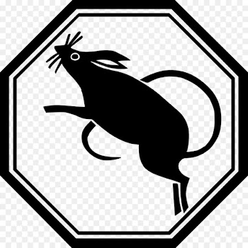 Rat Mouse Chinese zodiac Astrological sign - capricorn 