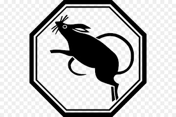 Rat Mouse Chinese zodiac Chinese calendar - rat 