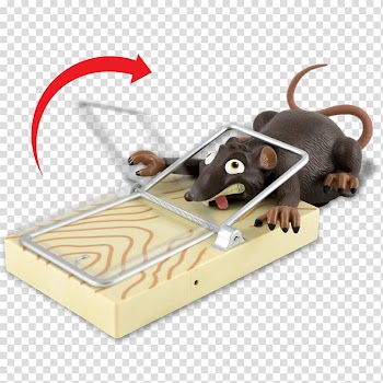 Rat Mousetrap Rodent Trapping, Rat & Mouse transparent background PNG clipart