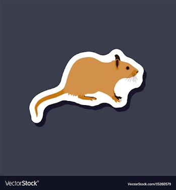 Rat paper sticker on stylish background vector image