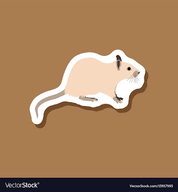 Rat paper sticker on stylish background vector image