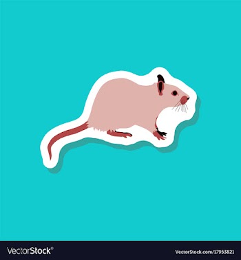 Rat paper sticker on stylish background vector image