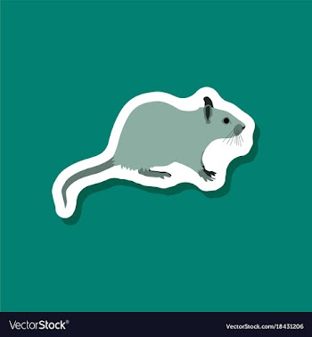 Rat paper sticker on stylish background vector image