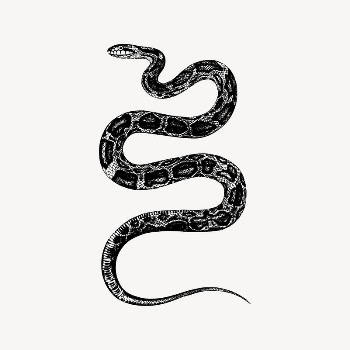 Rat snake clipart, animal illustration | Free Vector Illustration - rawpixel