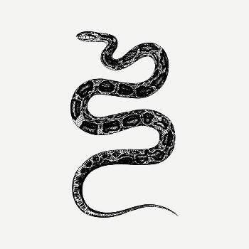Rat snake drawing, animal illustration | Free PSD Illustration - rawpixel