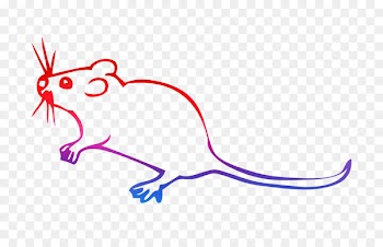Rat The Disney Dreams Collection: Coloring Book Animal Colouring -  