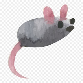 Rat Watercolor: Flowers Vector graphics Watercolor painting Image - adobe watercolor 