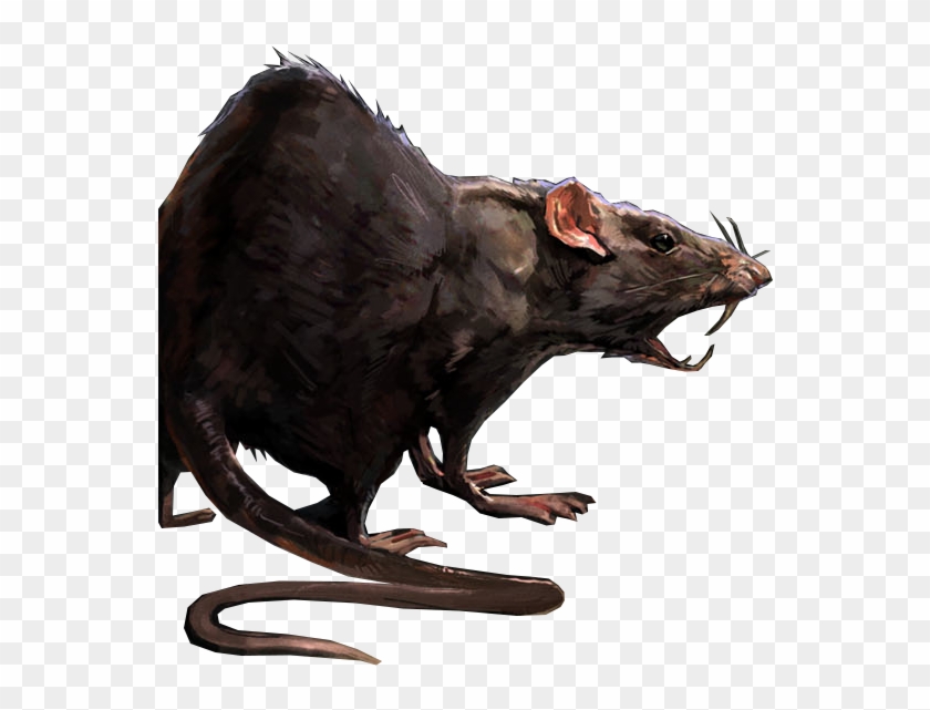 Rats - Rat Dnd
