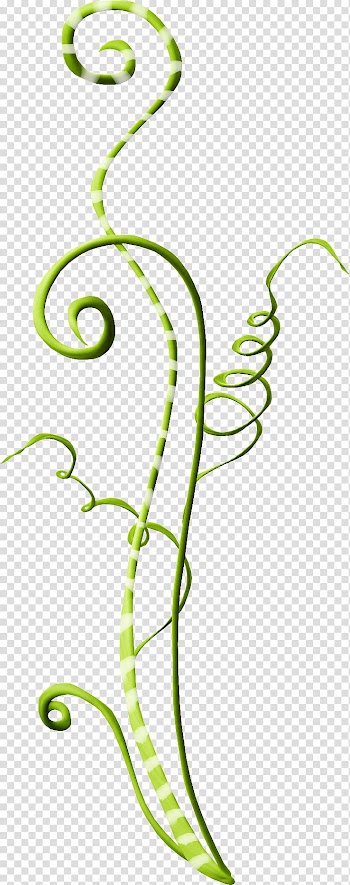 Rattan , Ribbon transparent background PNG clipart