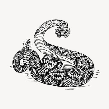 Rattlesnake clipart, vintage animal illustration | Free Vector - rawpixel