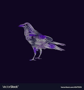 raven bird artwork style design