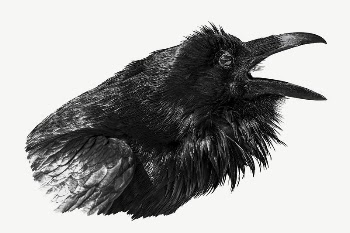 Raven bird collage element psd | Free PSD - rawpixel