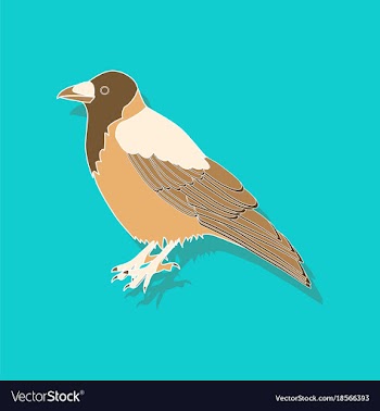 Raven paper sticker on stylish background vector image