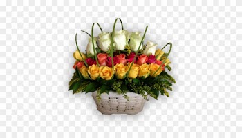 Ravishing Roses - Garden Roses