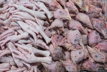 Raw chicken feet and heads | Free Photo - rawpixel