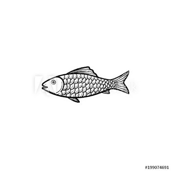 Raw fish hand drawn outline doodle icon