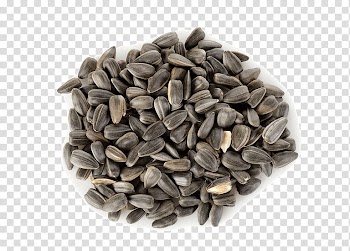 Raw foodism Sunflower seed Sesame Nutrition, seeds transparent background PNG clipart
