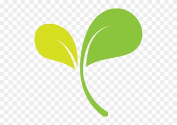 Raw Living Food And Vegan Lifestyle Lessons - Food