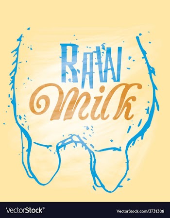 Raw Milk vector image