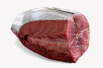 Raw tuna isolated image on white | Free Photo - rawpixel
