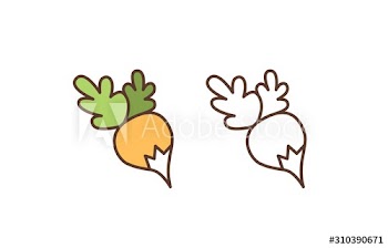 Raw turnip linear vector icon