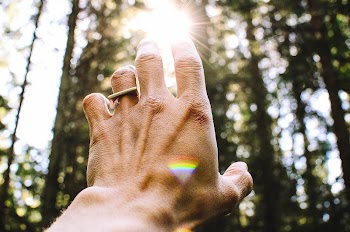 Reaching to the green. Original | Free Photo - rawpixel
