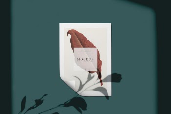 Ready to use poster mockup with a leaf Free Psd