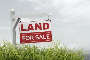 Real estate background, land for sale | Free Photo - rawpixel