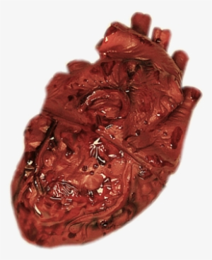 Real Heart PNG & Download Transparent Real Heart PNG Images for ...