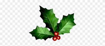 Real Mistletoe Png Great Stocking Filler Gift Ideas - Merry Christmas And Happy New