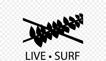 Real Surfing Photography Metro Manila Wave - surf 