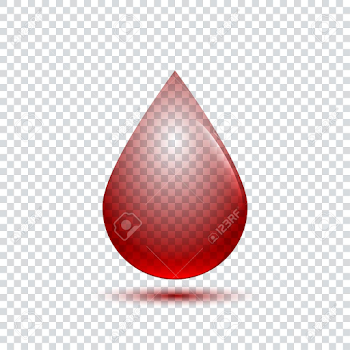 Realistic Blood Drop With Shadow On Transparent Background Royalty ...