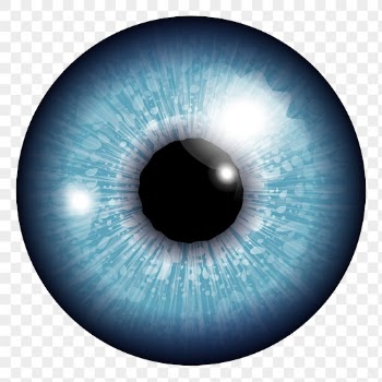 Realistic blue eye png sticker, | Free PNG - rawpixel