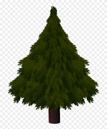 Realistic Christmas Tree Drawings - Christmas Tree