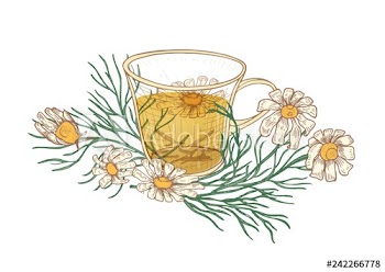 Realistic drawing of cup of tea, chamomile flowers and leaves isolated on white background
