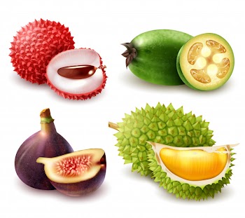 Realistic exotic fruits set Free Vector