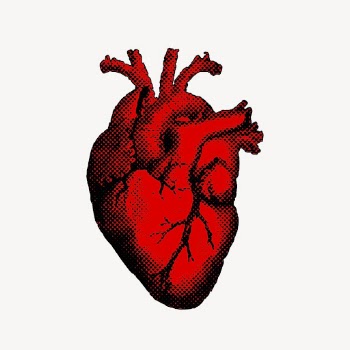 Realistic heart clipart, red illustration | Free Vector - rawpixel
