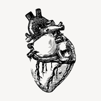 Realistic heart clipart, vintage medical | Free Vector - rawpixel