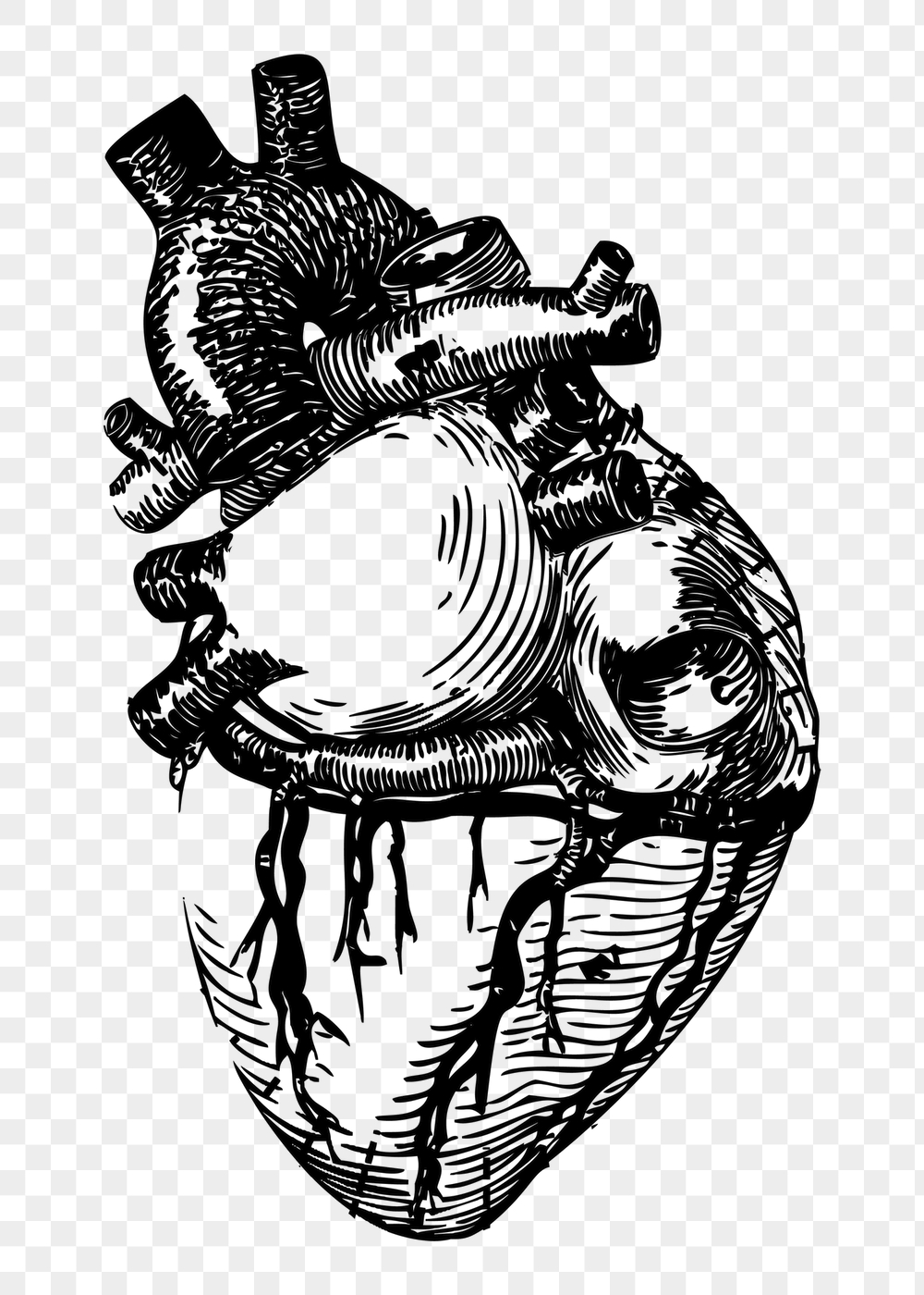 Realistic heart png sticker, vintage | Free PNG - rawpixel