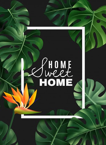 Realistic house plant frame Free Vector