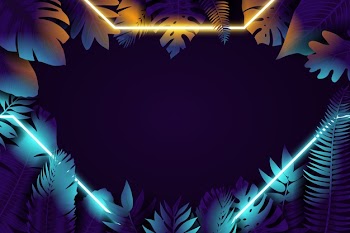 Realistic leaves with neon frame in the night Free Vector