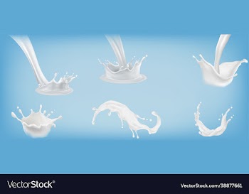 realistic milk splashes set eps 10