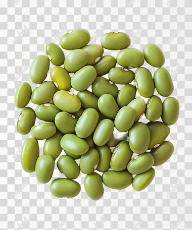 Realistic Mung Bean with Detailed Textures