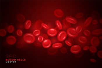 Realistic red blood cells flowing through artery background Free Vector