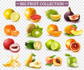 Realistic set of various kinds of fruits with orange kiwi pear lemon lime apple isolated on transparent Free Vector