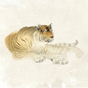 Realistic tiger clipart, animal illustration | Free PSD Illustration - rawpixel